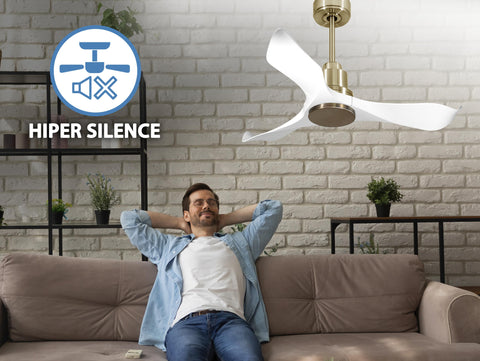 Ventilador de techo Reversible Termostato Wifi Motor DC Techos Inclinados Mando a Distancia Adaptador 2/3 Aspas Hypersilence Memoria Vendible Shopify (AUTOMATICO) 6